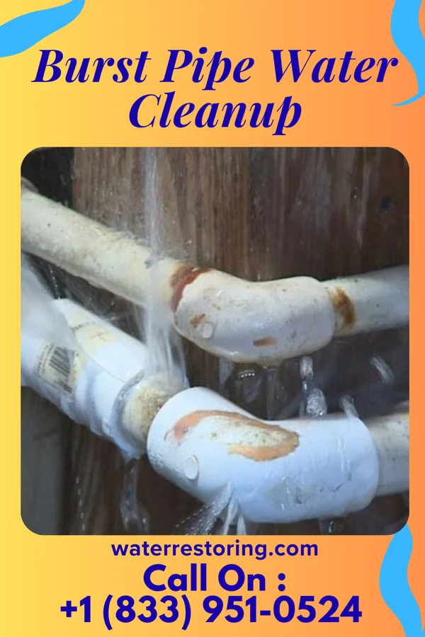 Burst Pipe Water Cleanup in Dunnell, MN