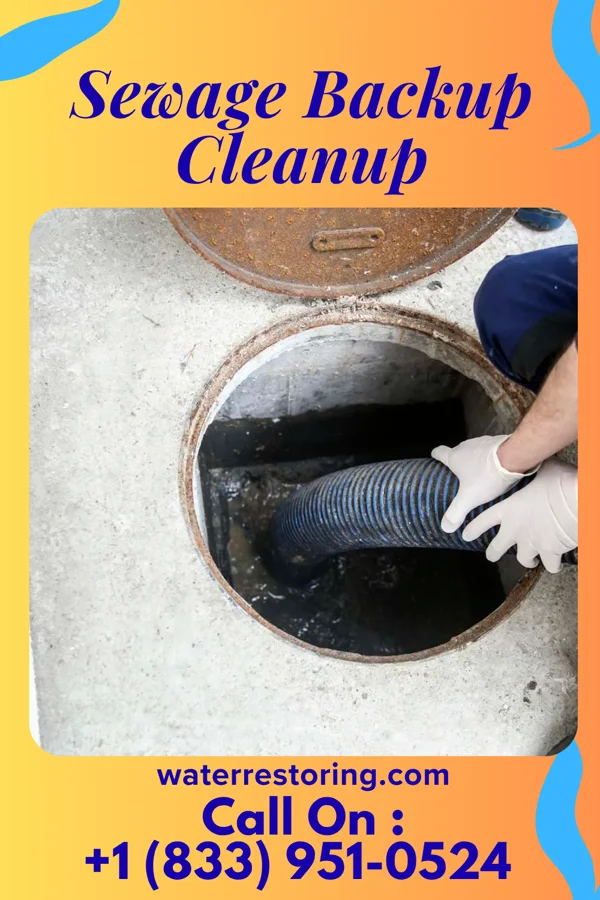 Sewage Backup Cleanup in Dunnell, MN