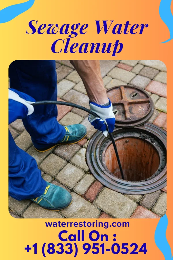 Sewage Water Cleanup in Dunnell, MN